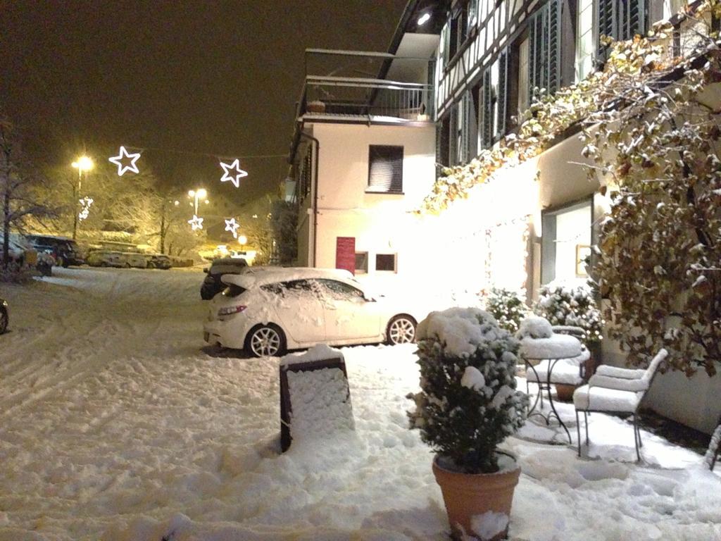 Hotel Rebe Herrliberg Exteriör bild